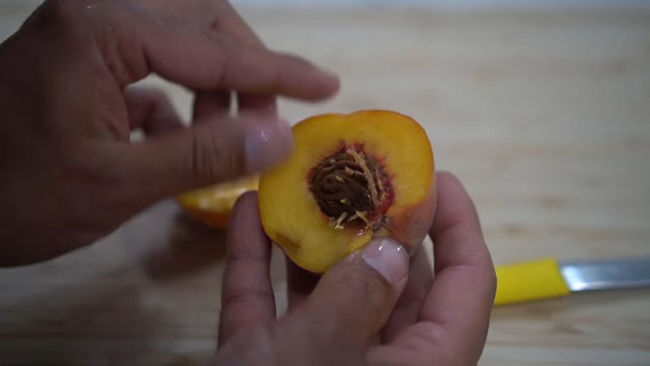 Grow Plums Indoors