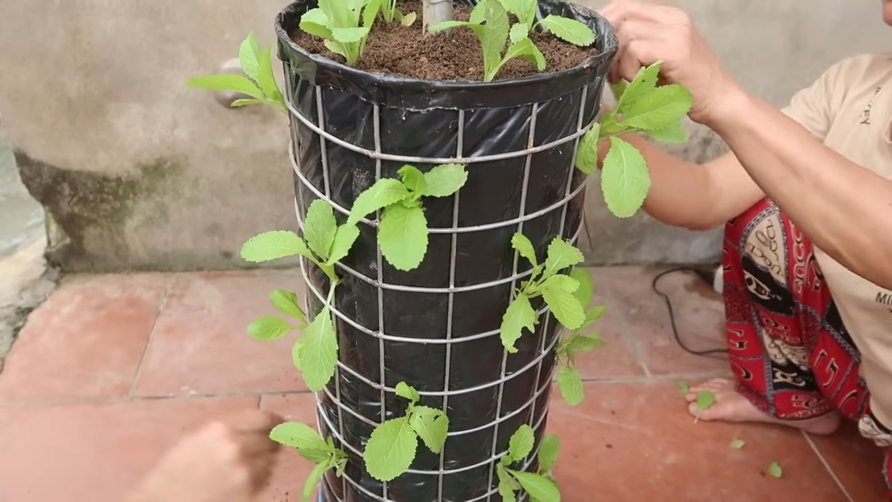 DIY Vertical Veggie Garden