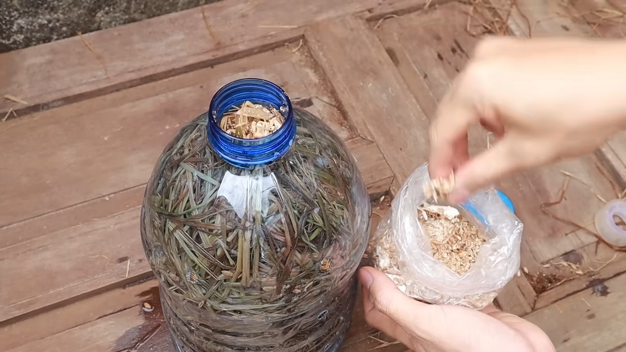DIY Mushroom Bottle Garden