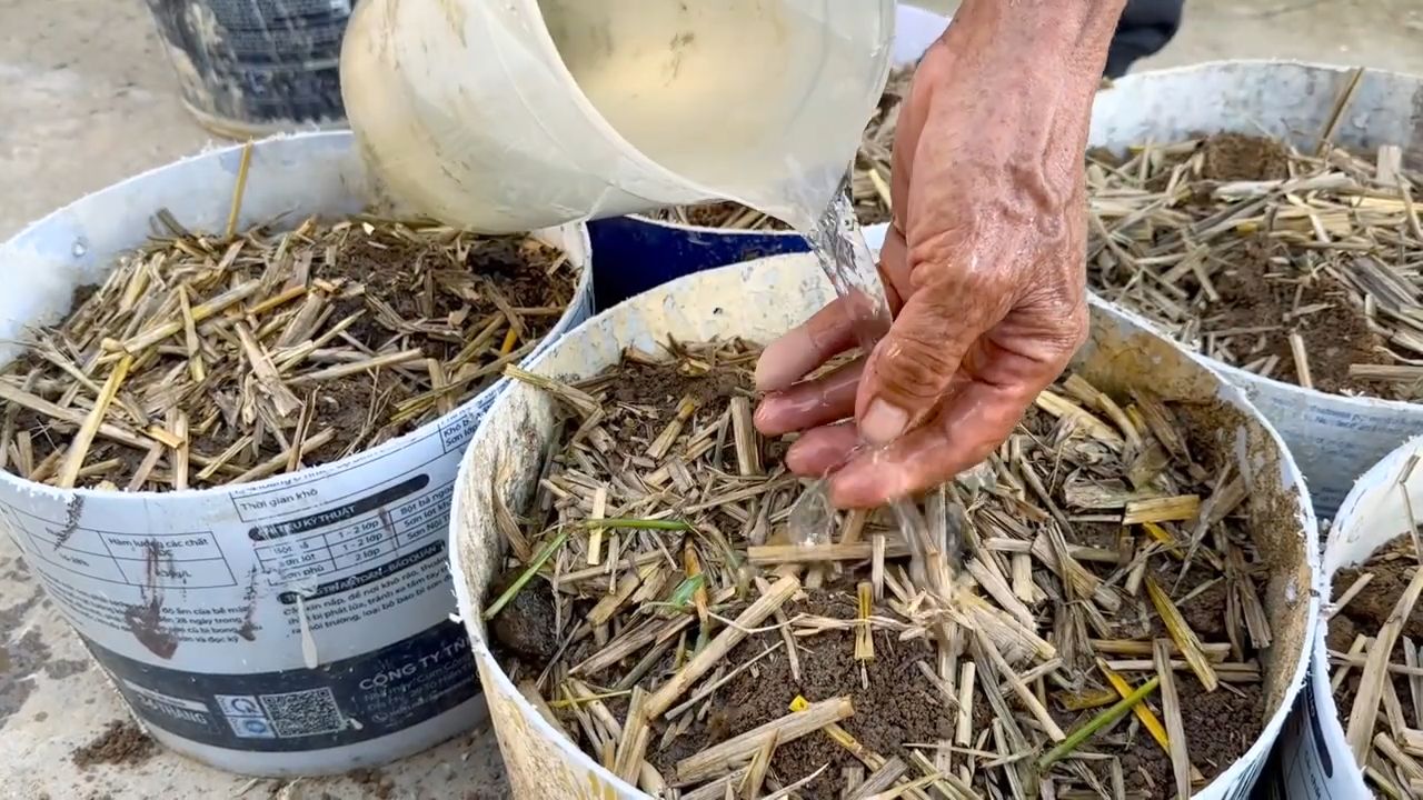 Planting Potatoes Trick