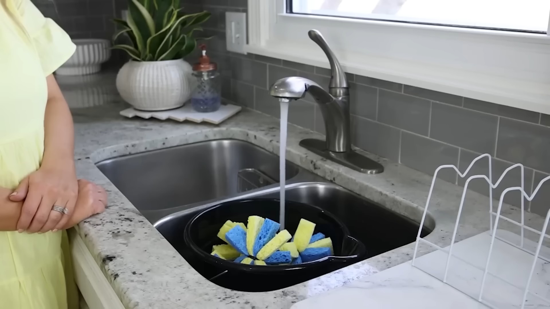 Plant Lettuce at Home