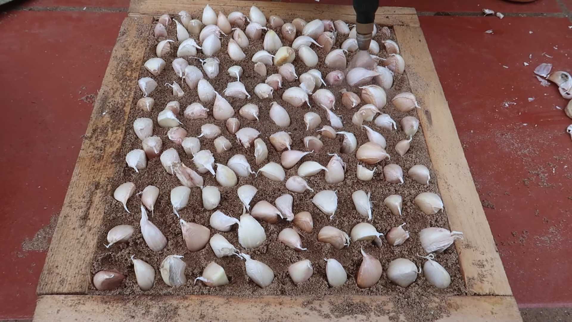 Garlic peeling hack