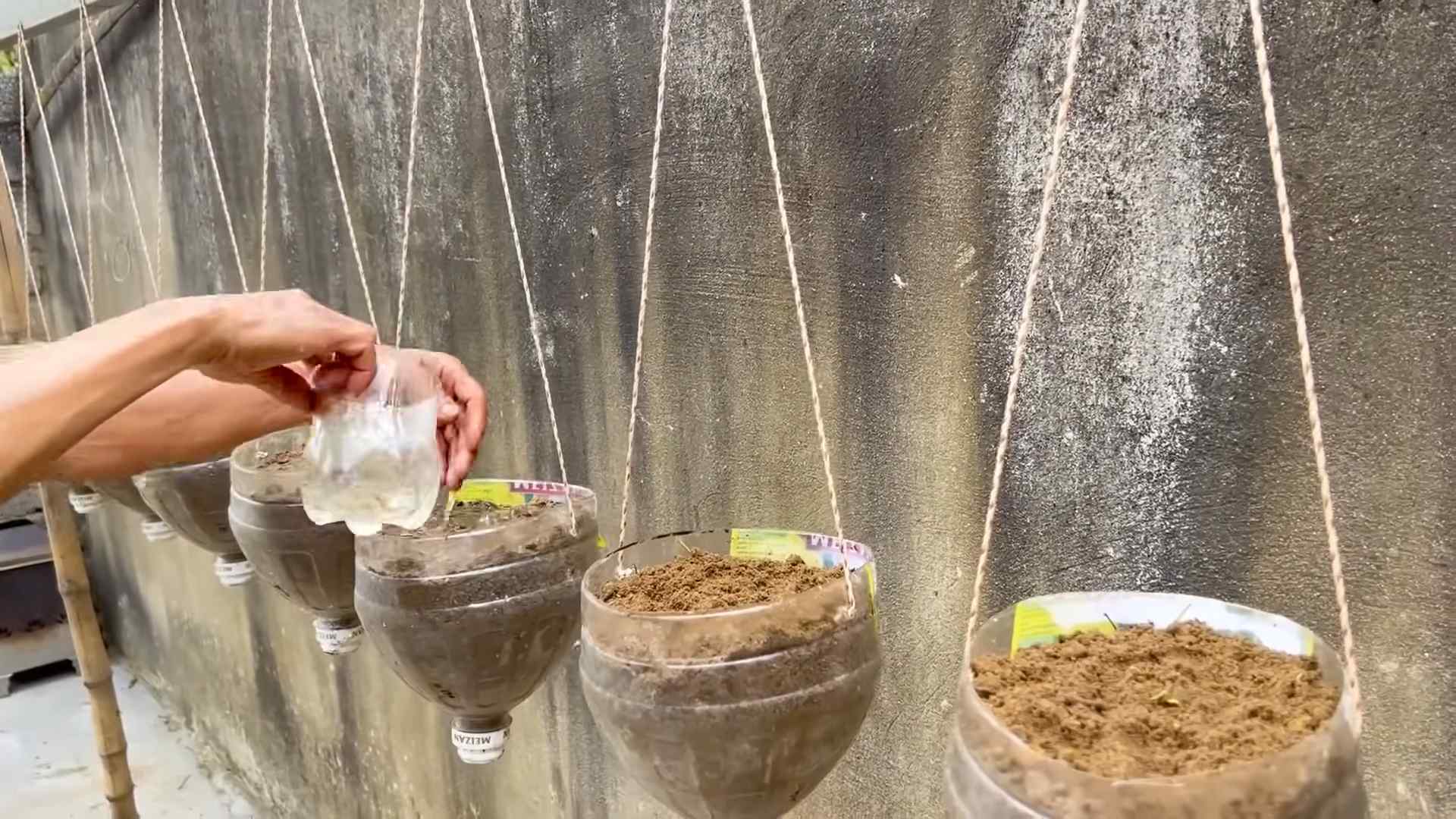 Hidden Melon Ripening Trick