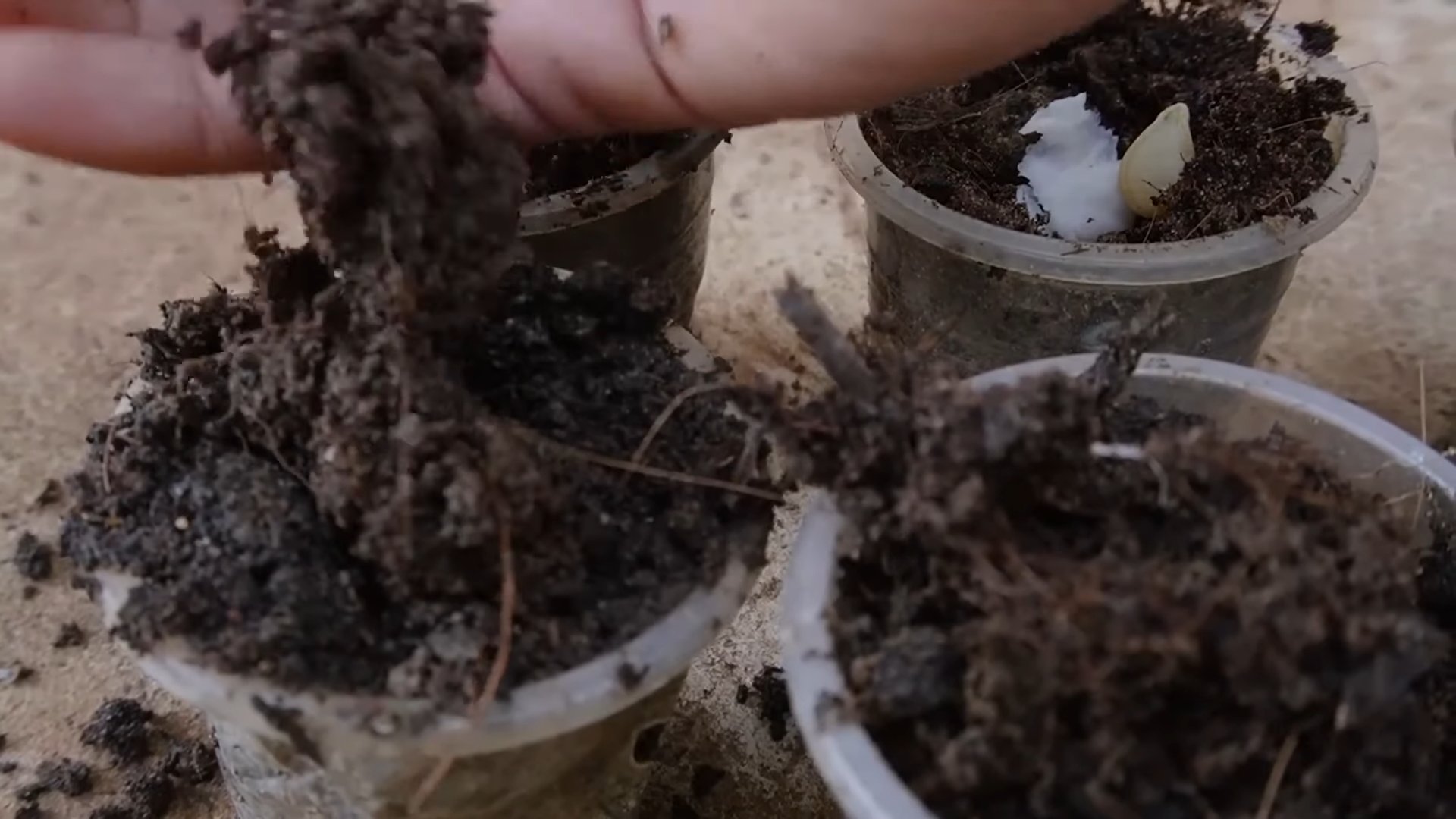 Small space gardening shortcuts