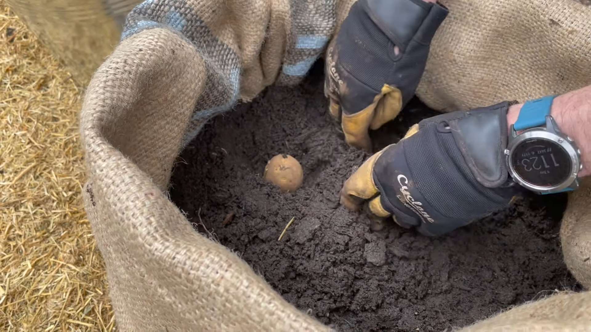 Grow Bags Potatoes