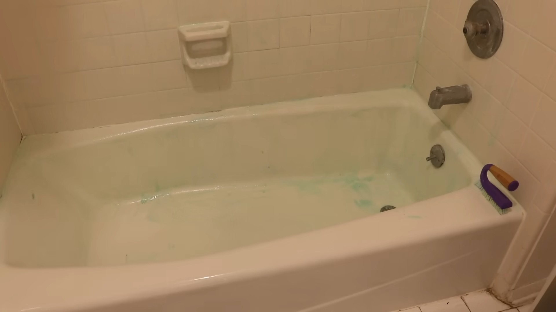 Clean Mold from Shower