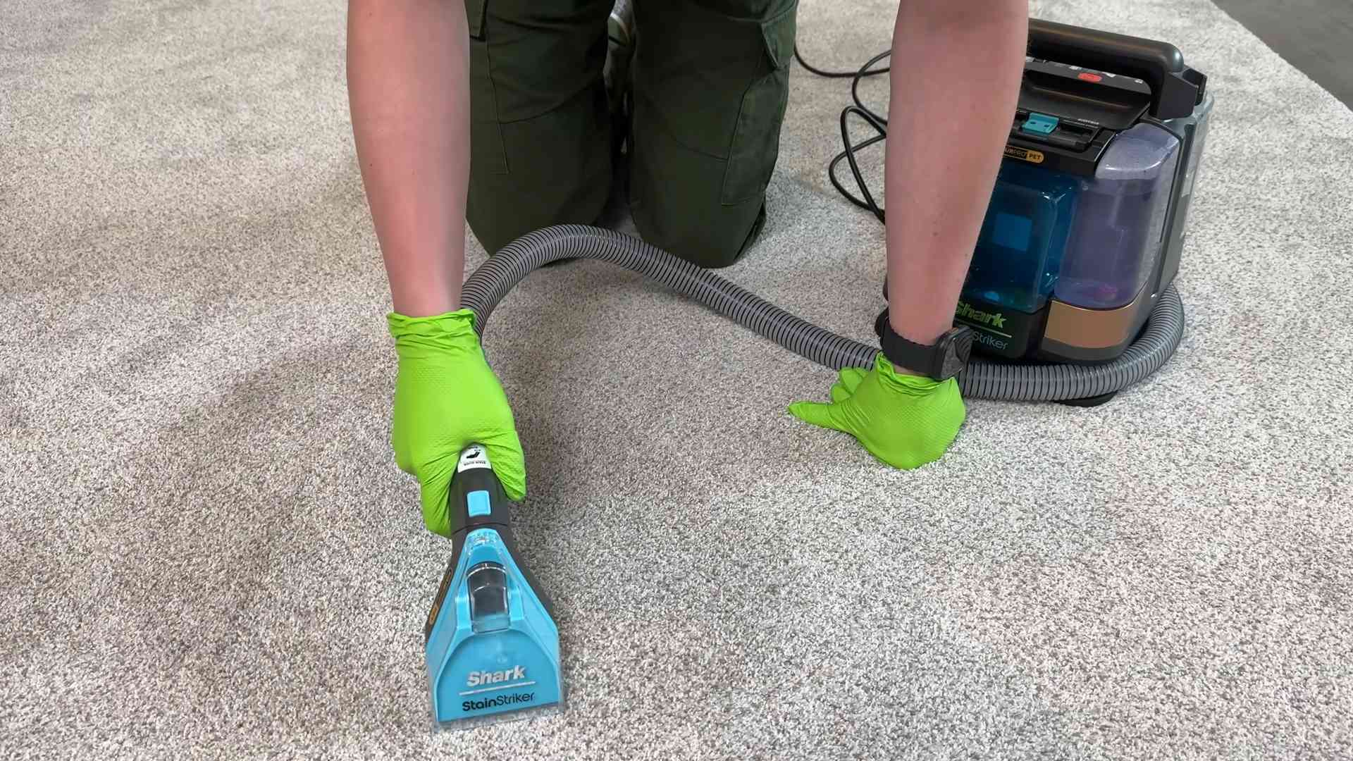 DIY pet cleaning products